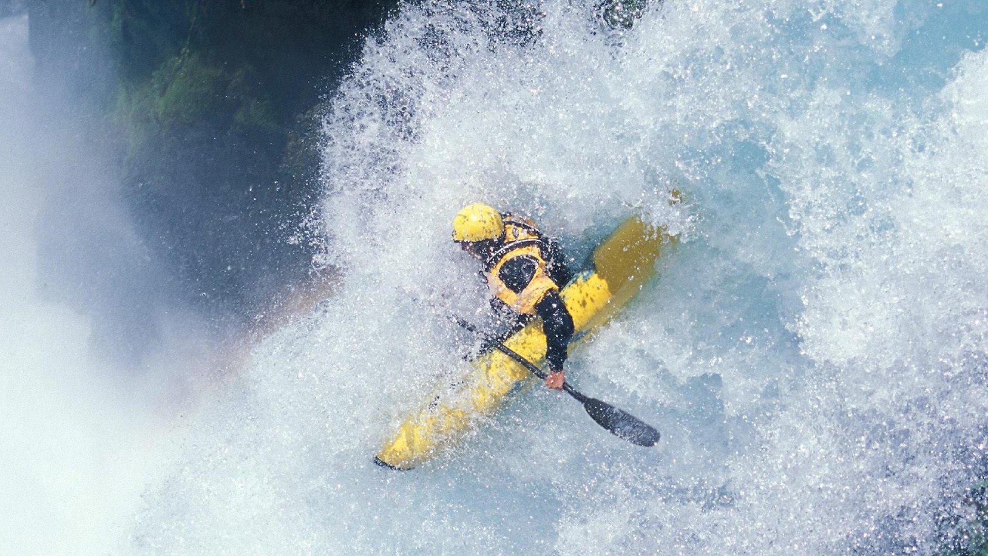 激情与归属,全球球迷文化如何塑造现代体育精神